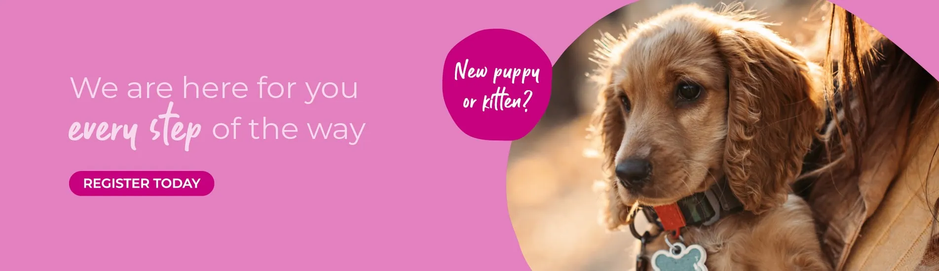 Vets in Leicester, pet vets & vet referrals