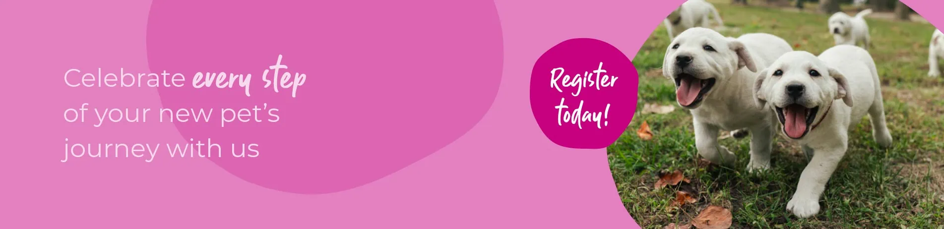 Start of Life for Your Puppy or Kitten