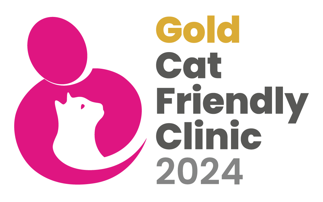 CFC logo Gold 2024