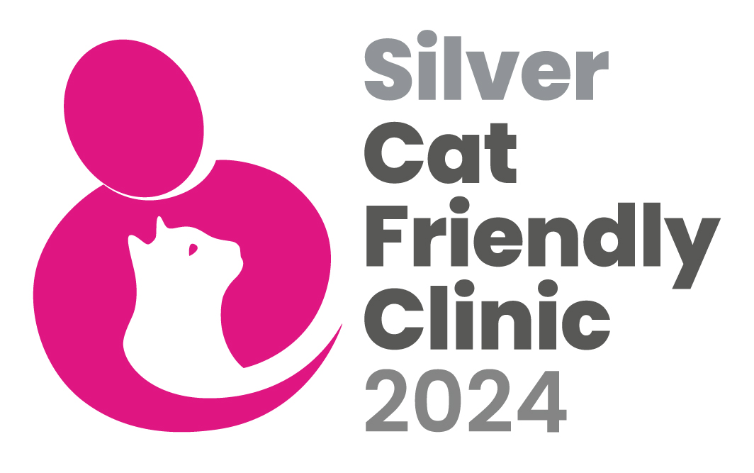 CFC logo Silver 2024