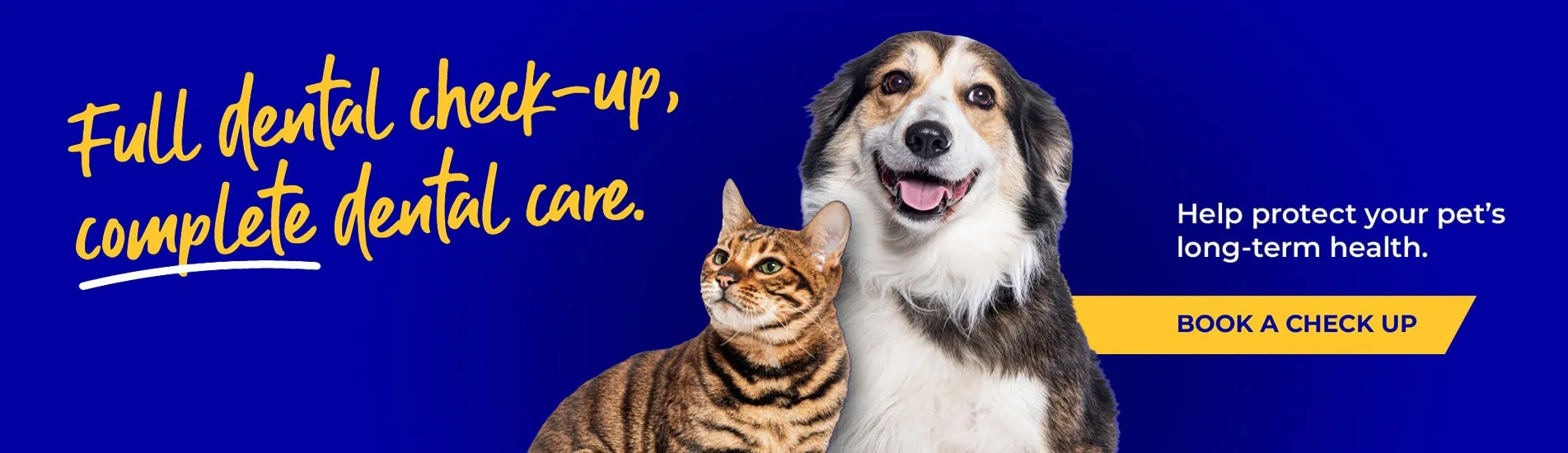 Vets in Leicester, pet vets & vet referrals