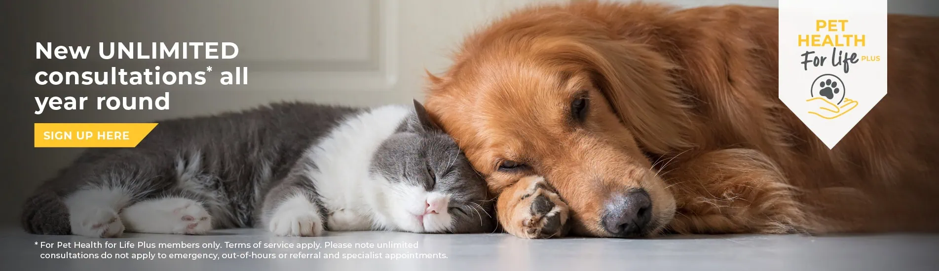 Vets in Leicester, pet vets & vet referrals