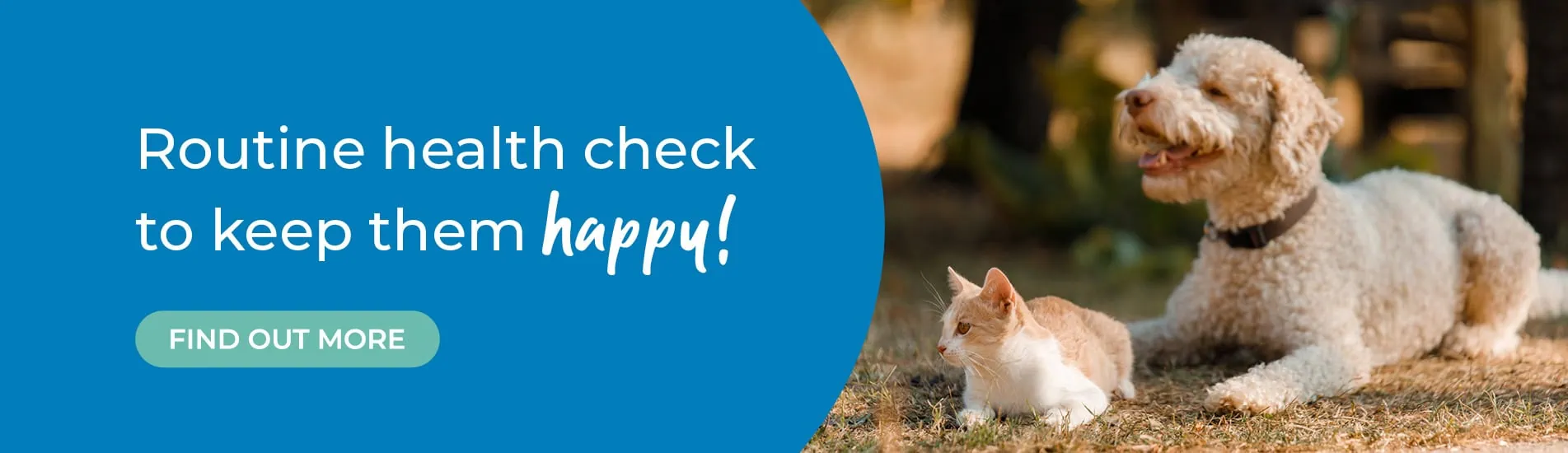 Vets in Leicester, pet vets & vet referrals