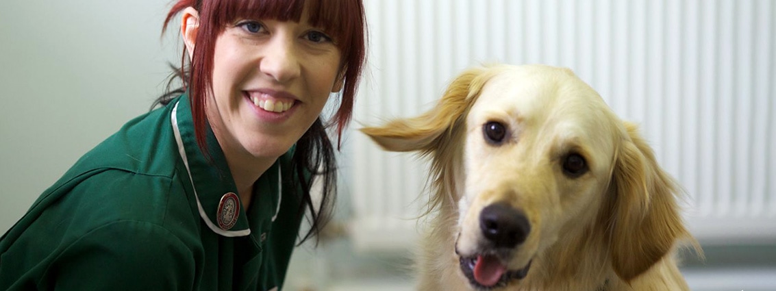 Help and Advice from Park Vet Group Vets in Leicester