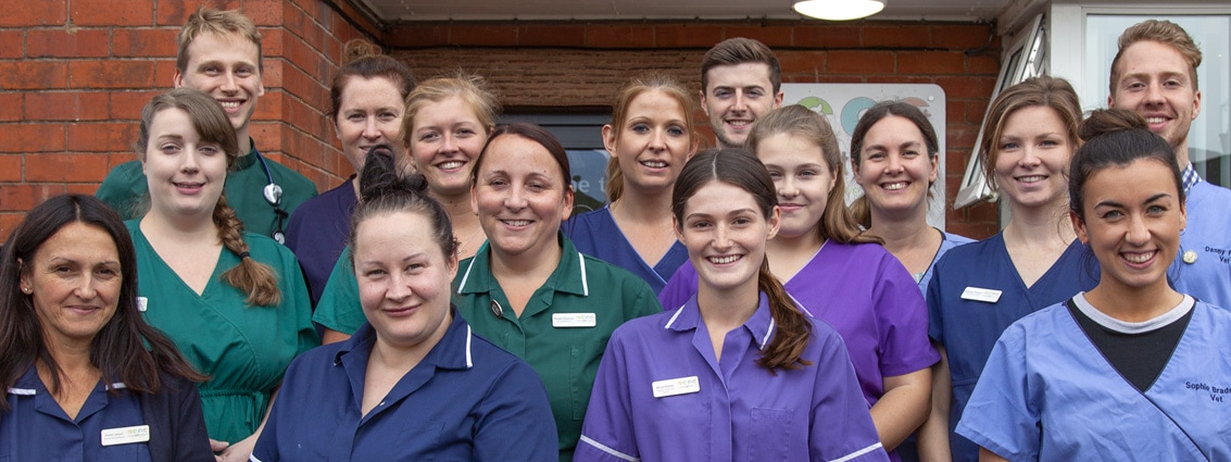 Park Vet Group is an Approved Nurse Training Centre