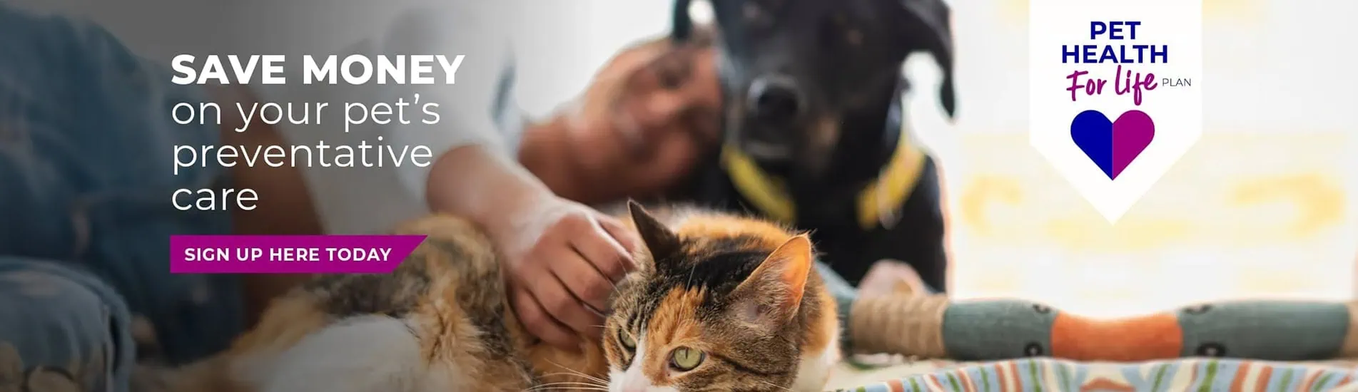 Vets in Leicester, pet vets & vet referrals