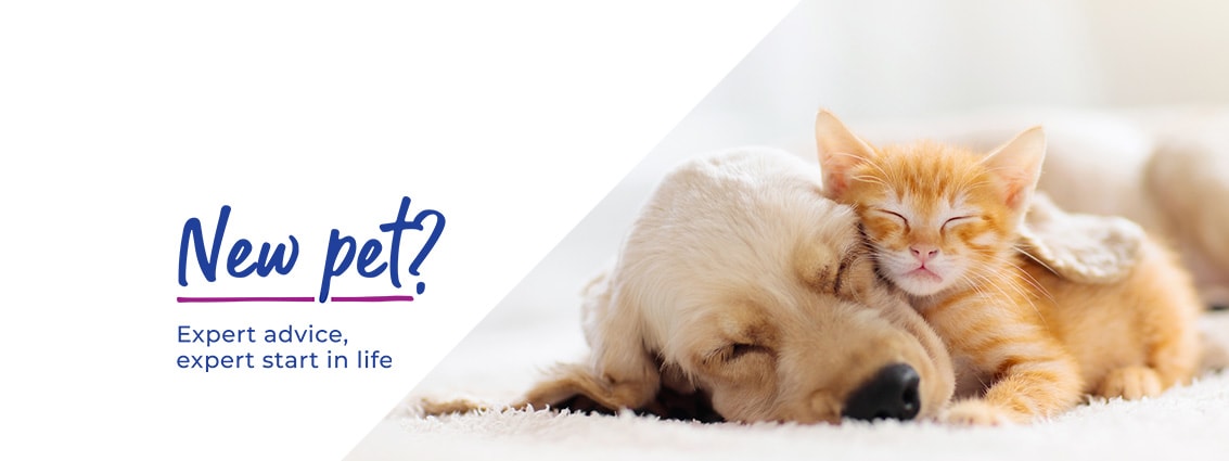 Puppy & Kitten Advice by Park Vet Group