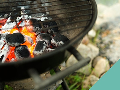 Barbecues and your pets - things to consider  